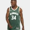Nike Milwaukee Bucks #34 Icon Swingman Jersey Fir/Flat Opal